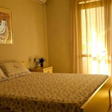 Papu's Center * Tirana